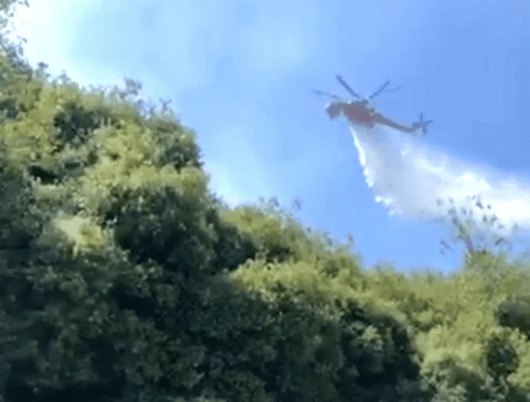 Μεγάλη φωτιά ξέσπασε στα Καλάβρυτα (εικόνες)